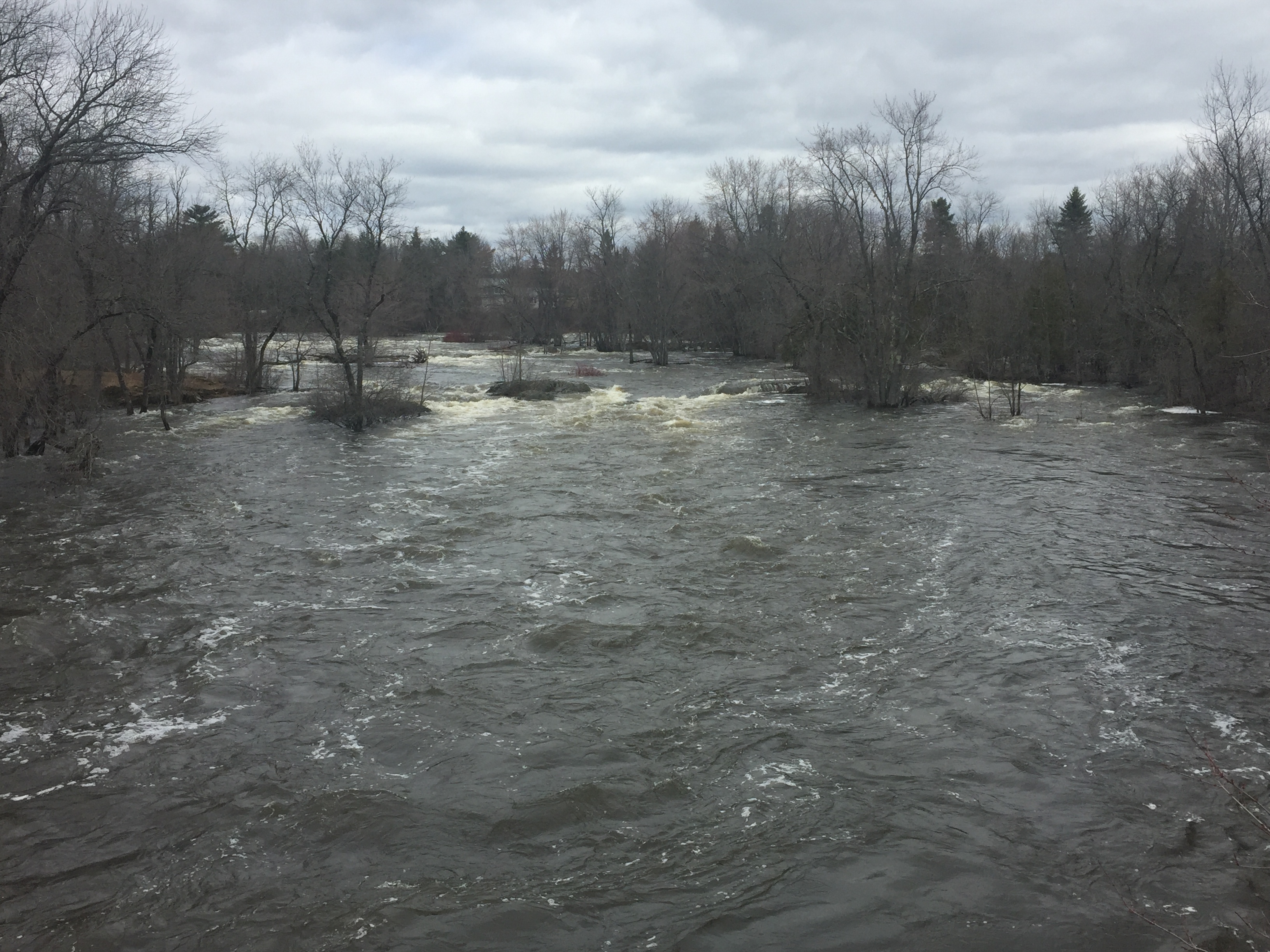 Could flooding impact this weekend's Kenduskeag Stream Canoe Race